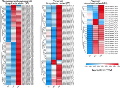 Metabolome and transcriptome analyses provide new insights into the mechanisms underlying the enhancement of medicinal component content in the roots of Acanthopanax senticosus (Rupr. et Maxim.) Harms through foliar application of zinc fertilizer